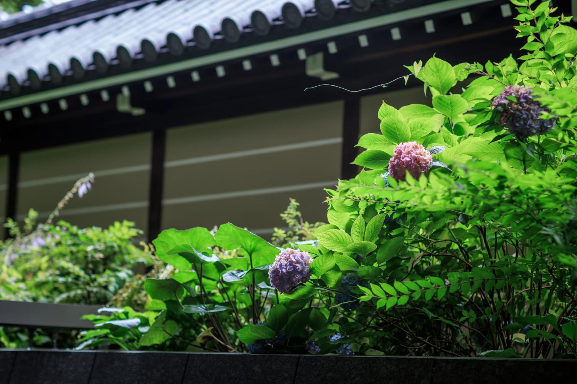 Hotel Okura Kyoto Okazaki Bettei ภายนอก รูปภาพ